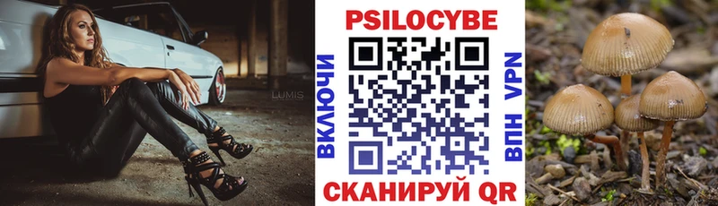 Купить где  Гвардейск  Галлюциногенные грибы GOLDEN TEACHER 