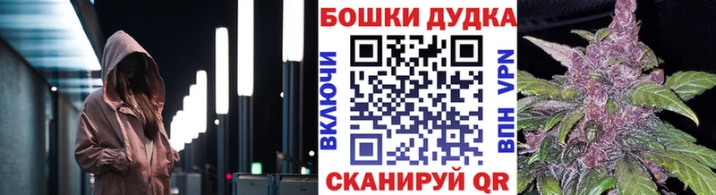 Шишки марихуана MAZAR  Купить где  Гвардейск 